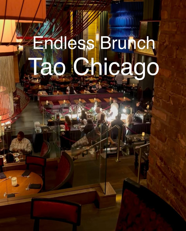 TAO Asian Bistro - Chicago Restaurant - Chicago, IL